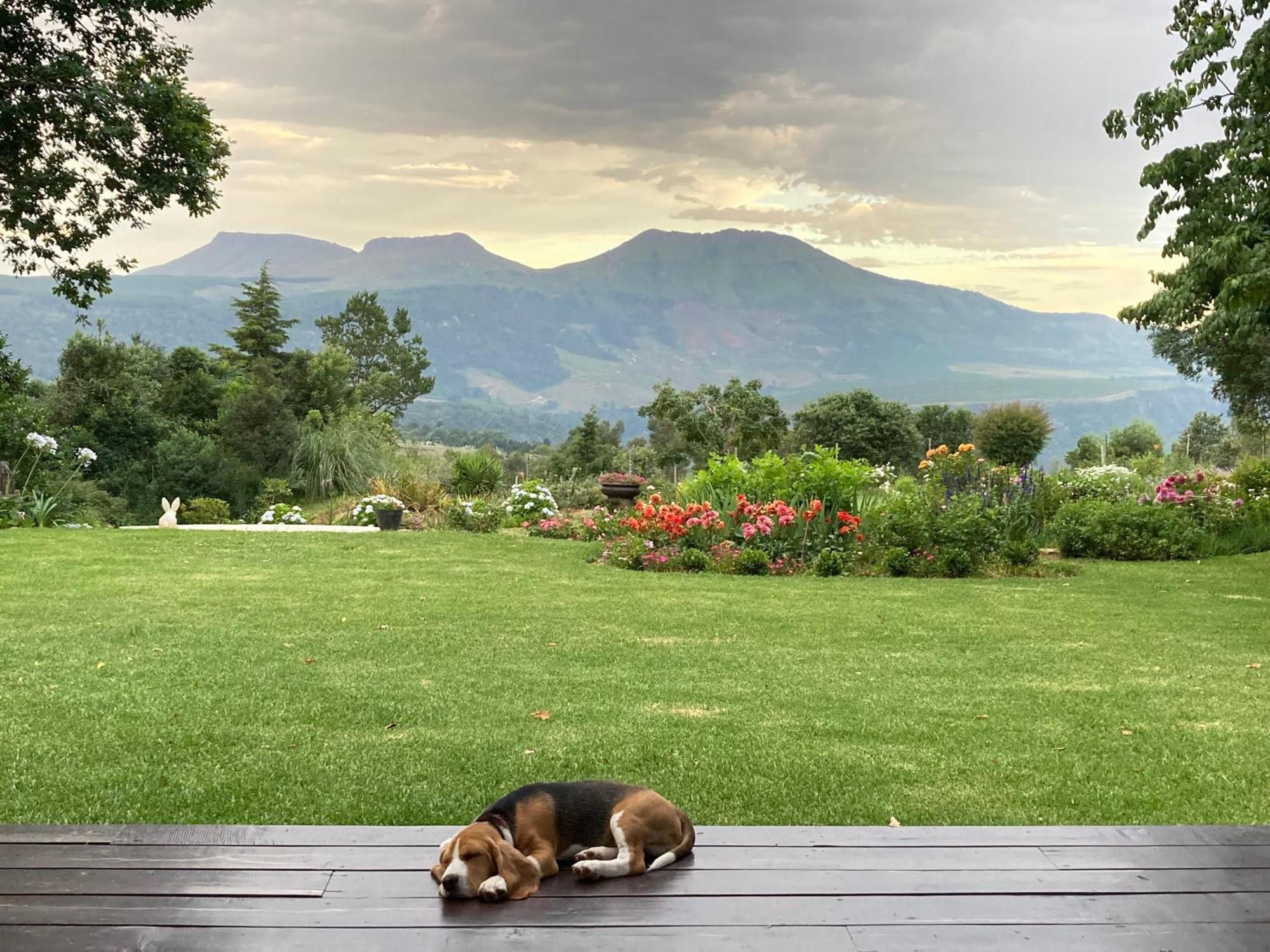 Bramber Cottage Hogsback, Living With Joy! エクステリア 写真
